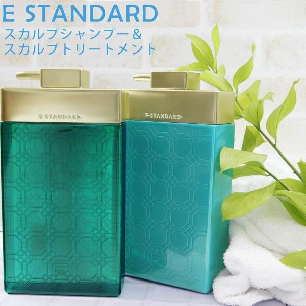 SUNTEC SCALP STANDARD シャンプー＆トリートメントセット E STANDARD