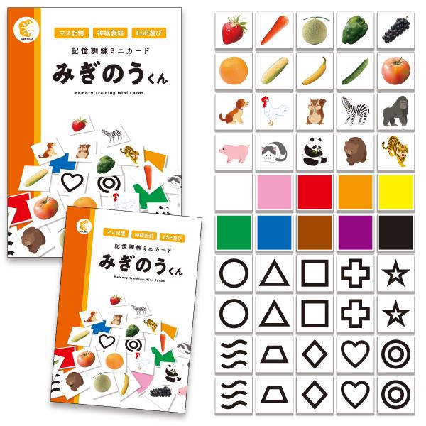 七田式 幼児 教材 カード 七田式〜記憶訓練ミニカード みぎのうくん