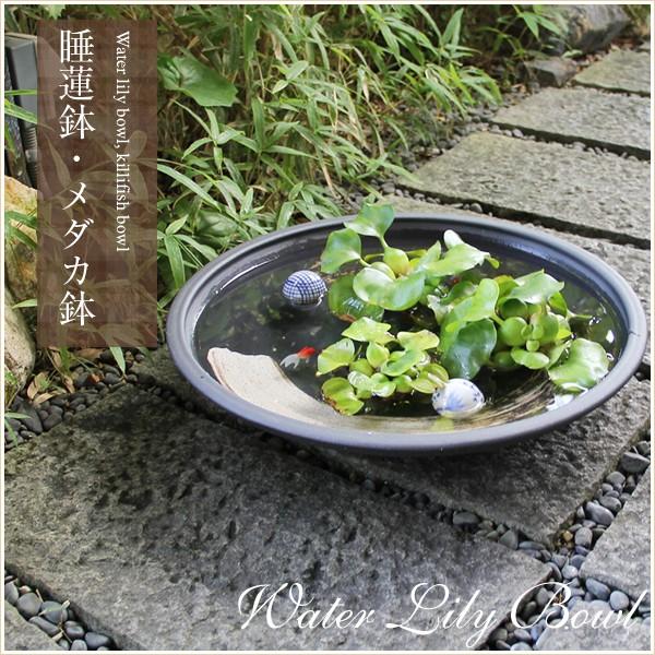 信楽焼 睡蓮鉢 メダカ鉢 おしゃれ めだか鉢 陶器 水鉢 ビオトープ