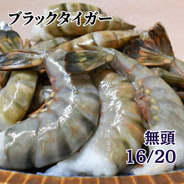 ブラックタイガー 無頭 16/20 冷凍 殻付えび 1.8kg 殻付き海老 業務用
