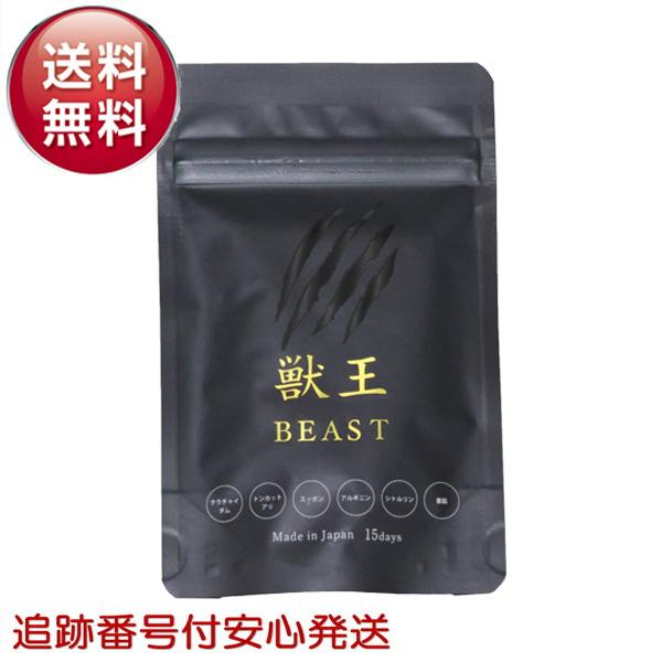 獣王beast 獣王 サプリ 獣王ビースト 15日分 45粒 亜鉛 メンズサプリ