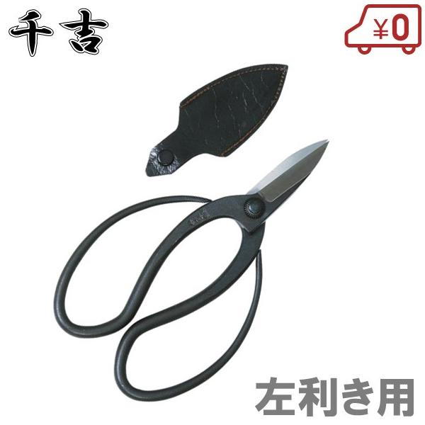 ssnet_fujiwara-4977292631181