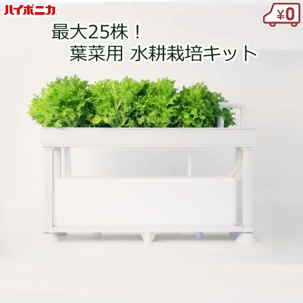 水耕栽培キット 家庭用 家庭菜園 水耕栽培 セット 液肥付き 室内 屋内