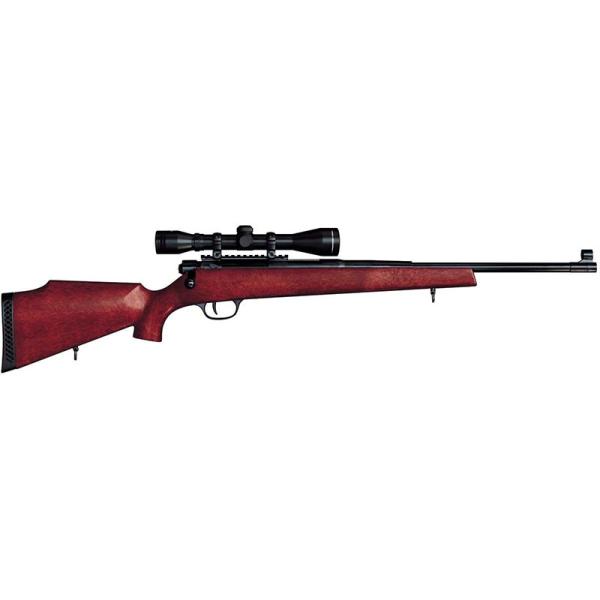 star-gate_4973042141269