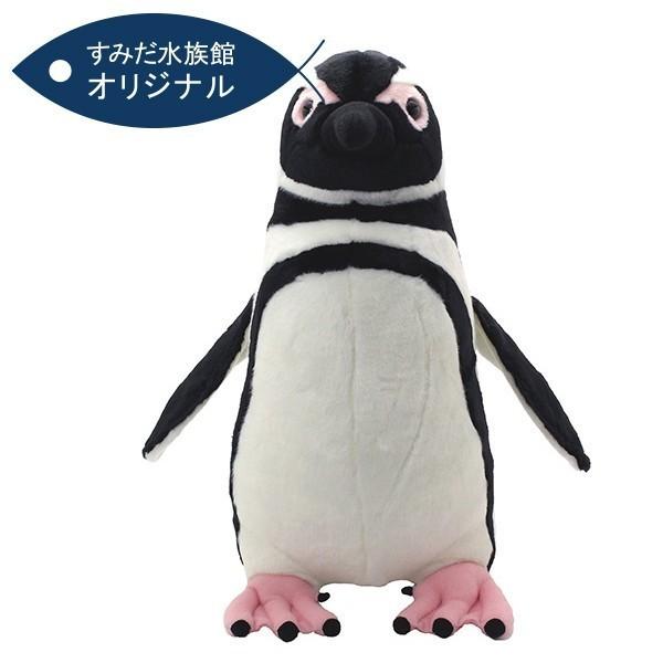 すみだ水族館 オリジナル 飼育員監修 マゼランペンギン ぬいぐるみ