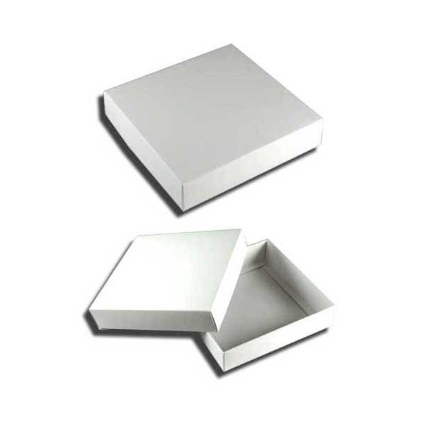 送料無料/直送” 白無地箱 白汎用BOX H-66 (正方形) (内寸横100 内寸縦