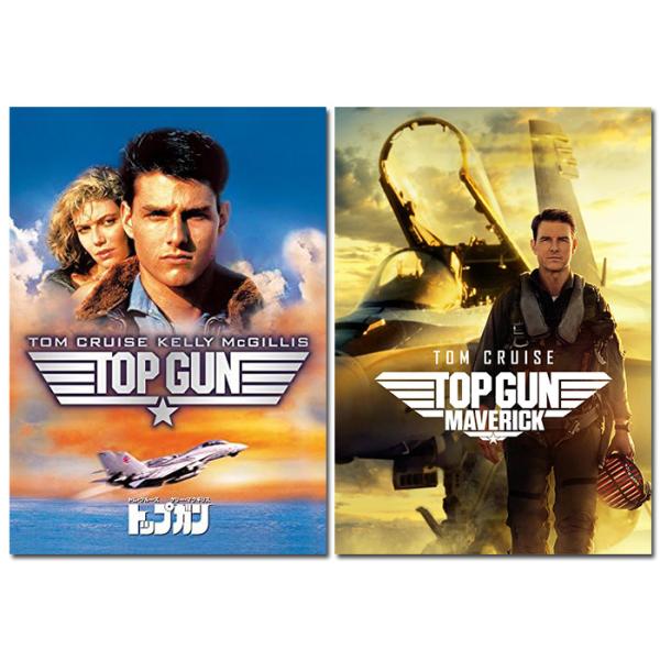 pigeon-cd_set-321-top2-hpm