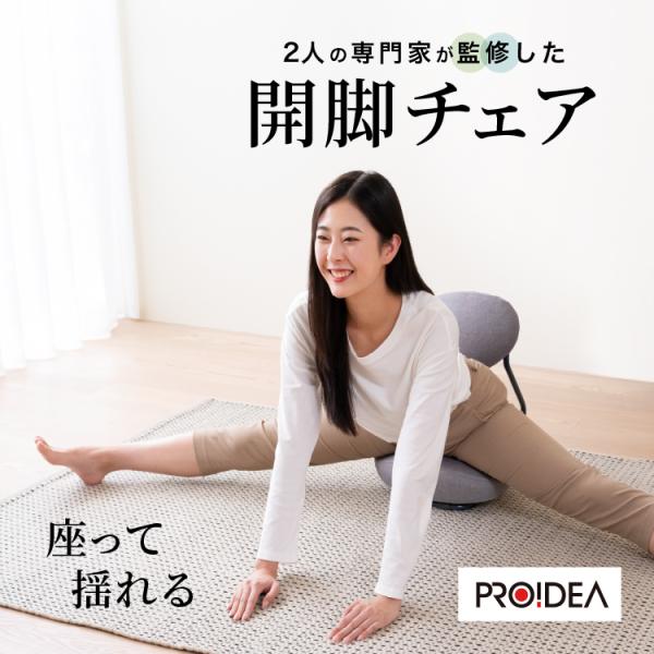 PROIDEA（プロイデア） ストレッチ 開脚 椅子 座椅子 骨盤矯正 腰痛