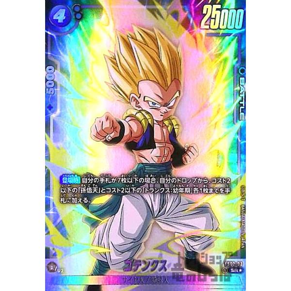 ryuunoshippo_240900253