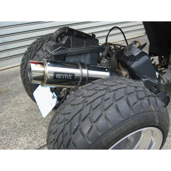 新品!!REVIVE(リバイブ) 後期ジャイロX キャノピー カチ上げスポーツ