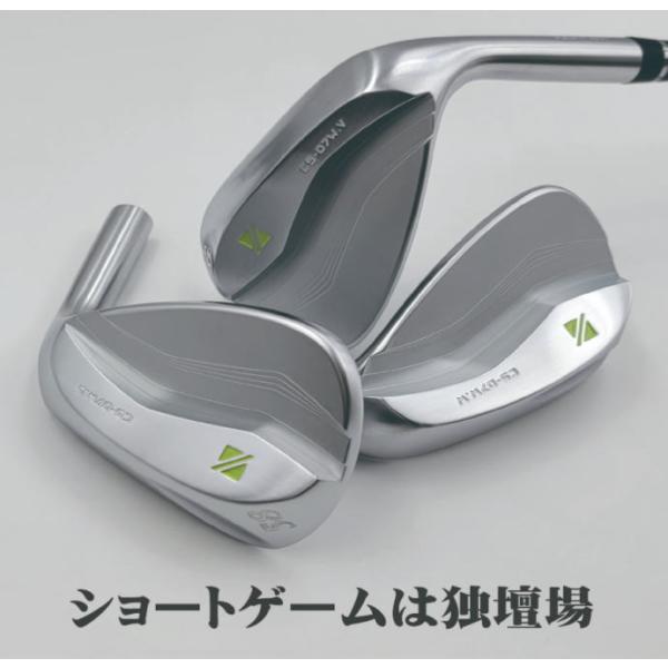 RAZZLE DAZZLE CS-07W WEDGE ラズルダズル ウェッジ ヘッド単体 +