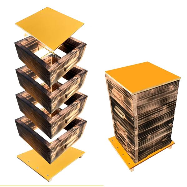 westcitynet_subako-4dan