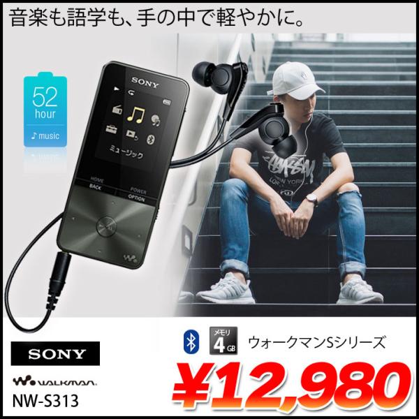 whatfun_walkman-nw-s313