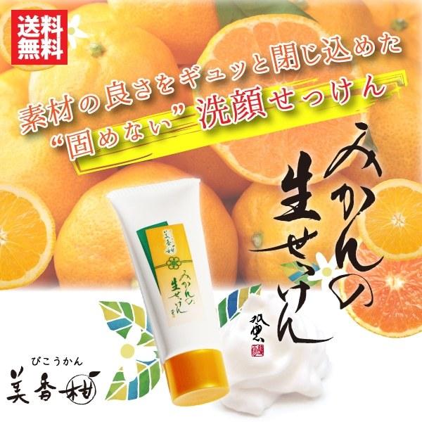 洗顔 石鹸 みかんの生せっけん 練り状タイプ 20g 泡立てネット 濃密泡