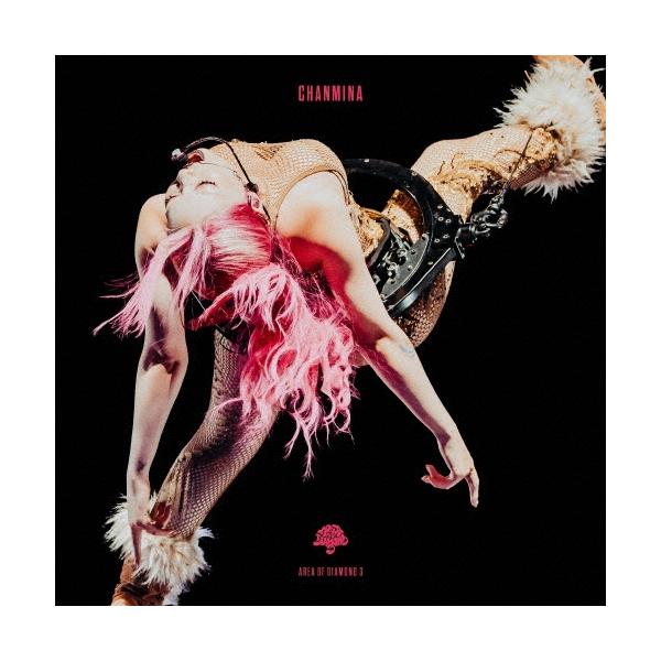 ちゃんみな AREA OF DIAMOND 3 ［DVD+スペシャルフォトブック+トート