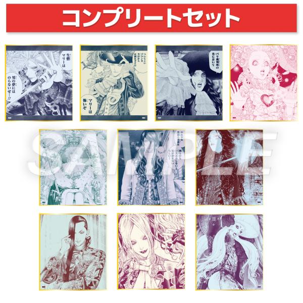 vanilla-gallery_4570117141126