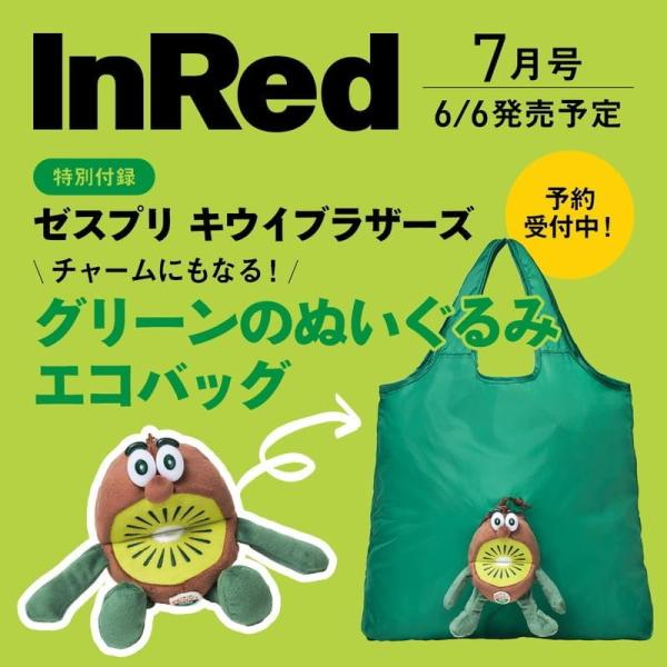 InRed インレッド 2025年7月号 付録 キウイブラザーズ ぬいぐるみエコ