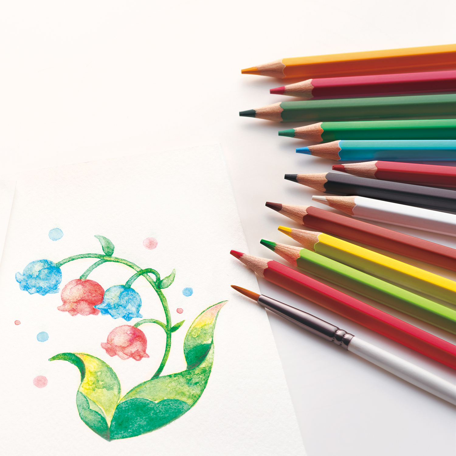 Artline 水彩色鉛筆 36色セット|KCP-W36C/H|商品カタログ|シヤチハタ