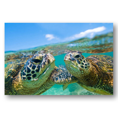 SKY BLUE / Clark Little（クラークリトル）のAlumi Prints通販