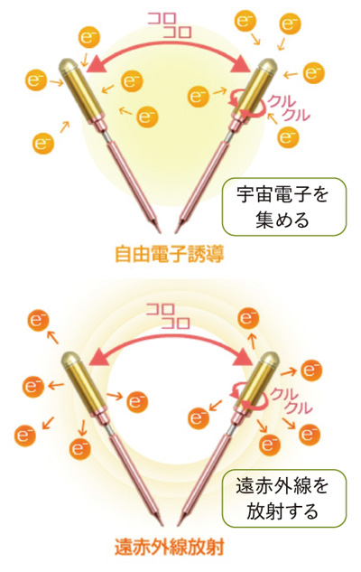 FTWフィオーラ（美顔ローラー）【送料無料】 | いやしの村わくわくショップ