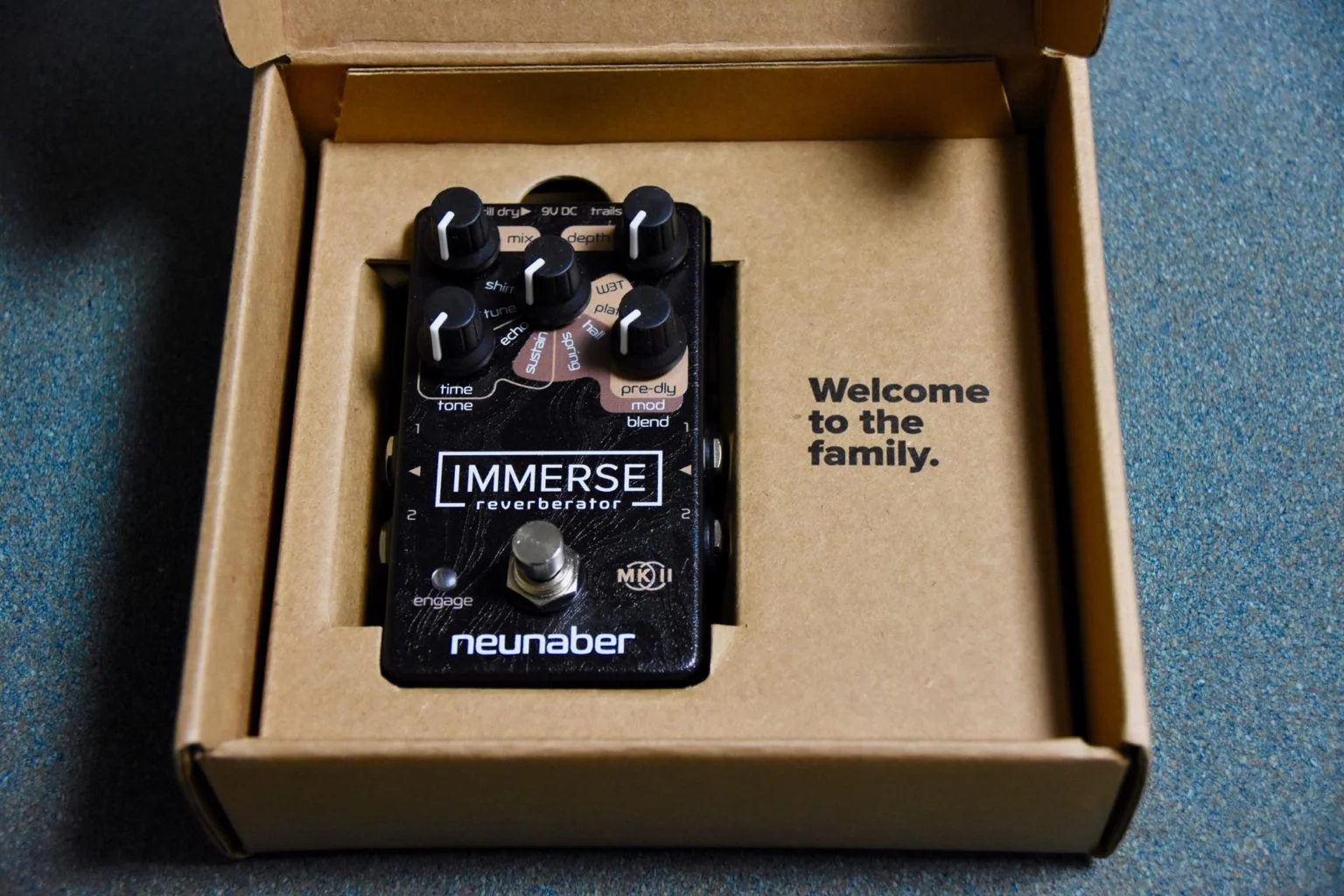 天使のリバーブ？】Neunaber Audio Effects/Immerse Reverberator MkII