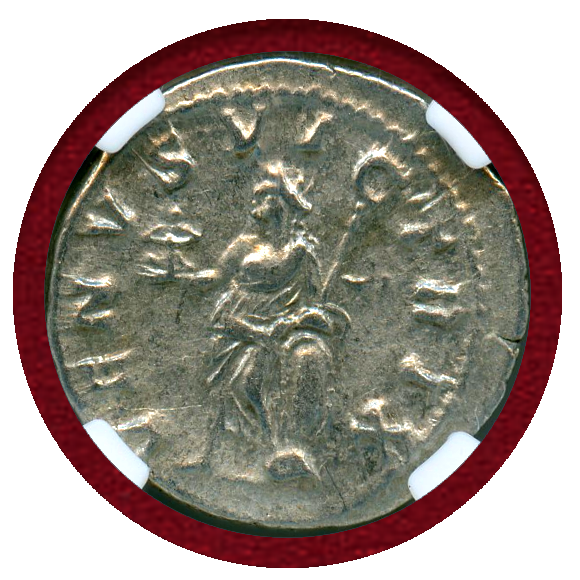 JCC | ジャパンコインキャビネット / 古代ローマ 193-217年 デナリウス