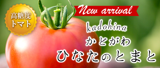 高糖度トマト「かどがわ ひなたのとまと」｜｜│JAみやざき 日向
