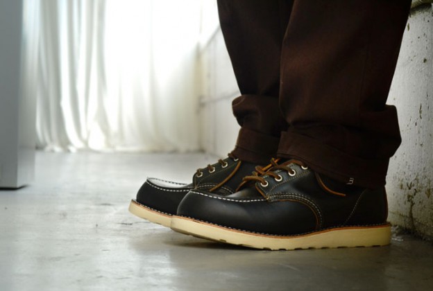 ONEDAY PHOTO〜 レッドウイング ブラックアイリッシュセッター ＃9874