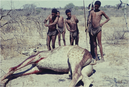 京都大学アフリカ地域研究資料センター