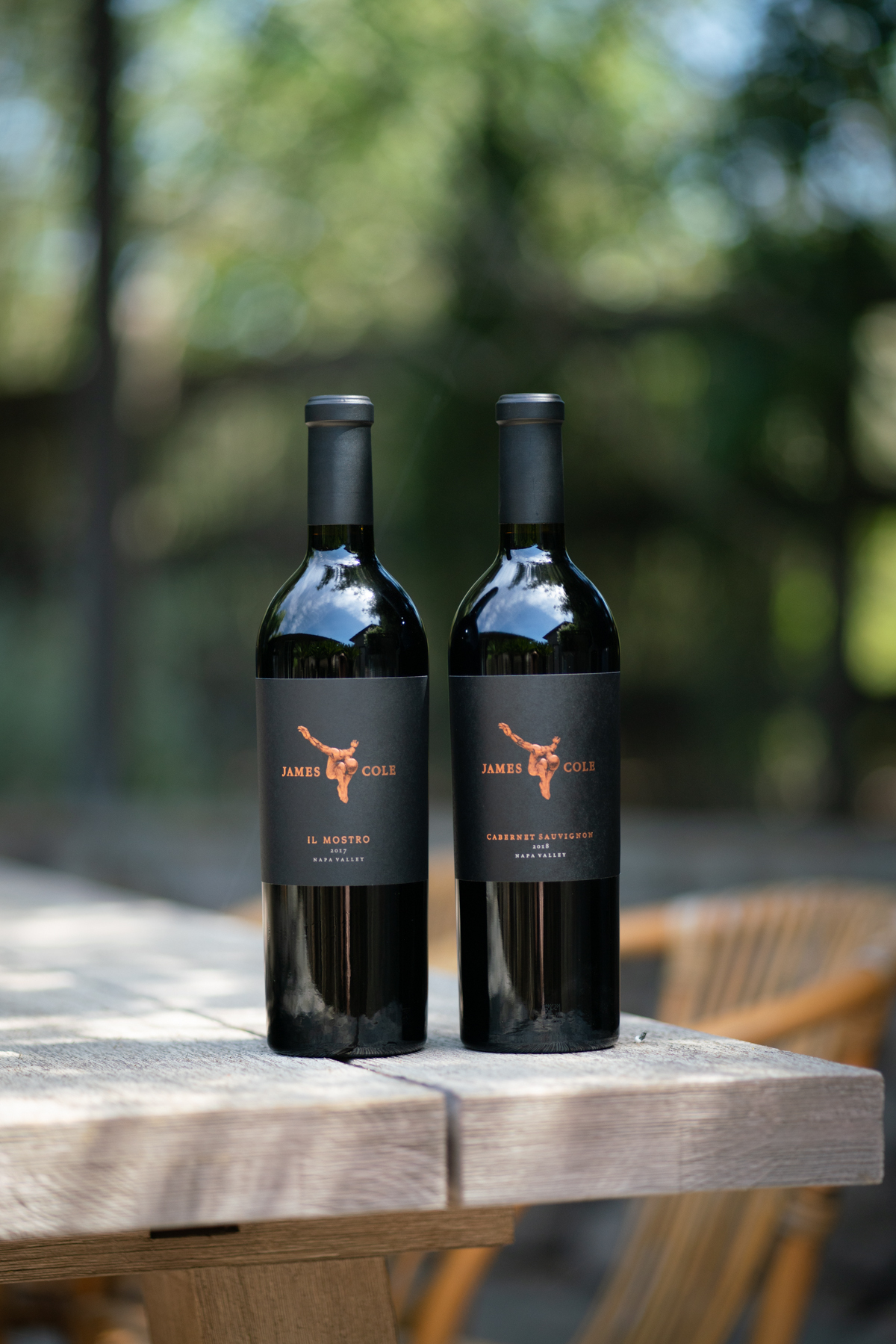 2021 Il Mostro Red Wine — James Cole Winery
