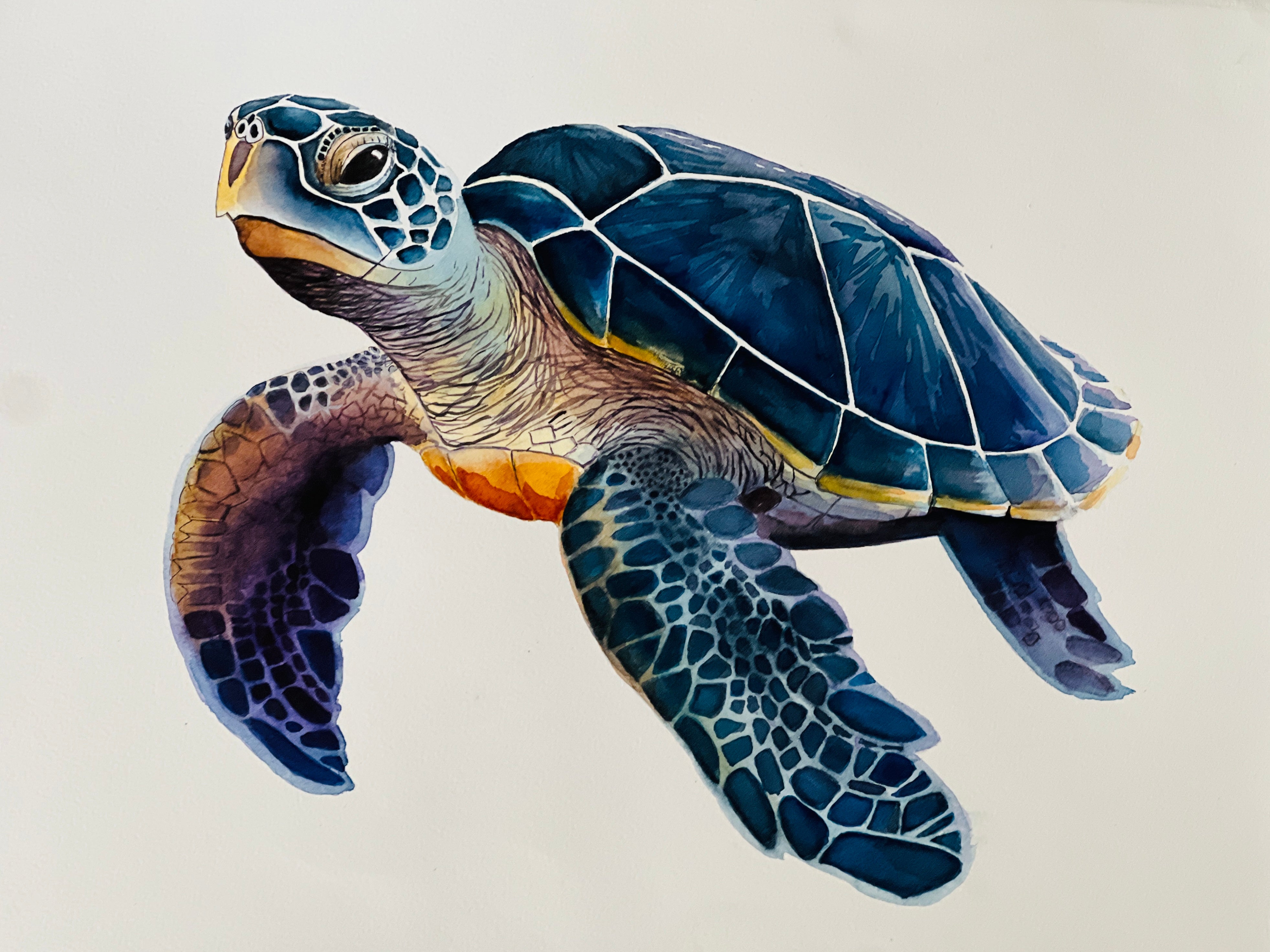 A Very Blue Turtle, Original Fine Art Watercolor Painting, 20 x 26