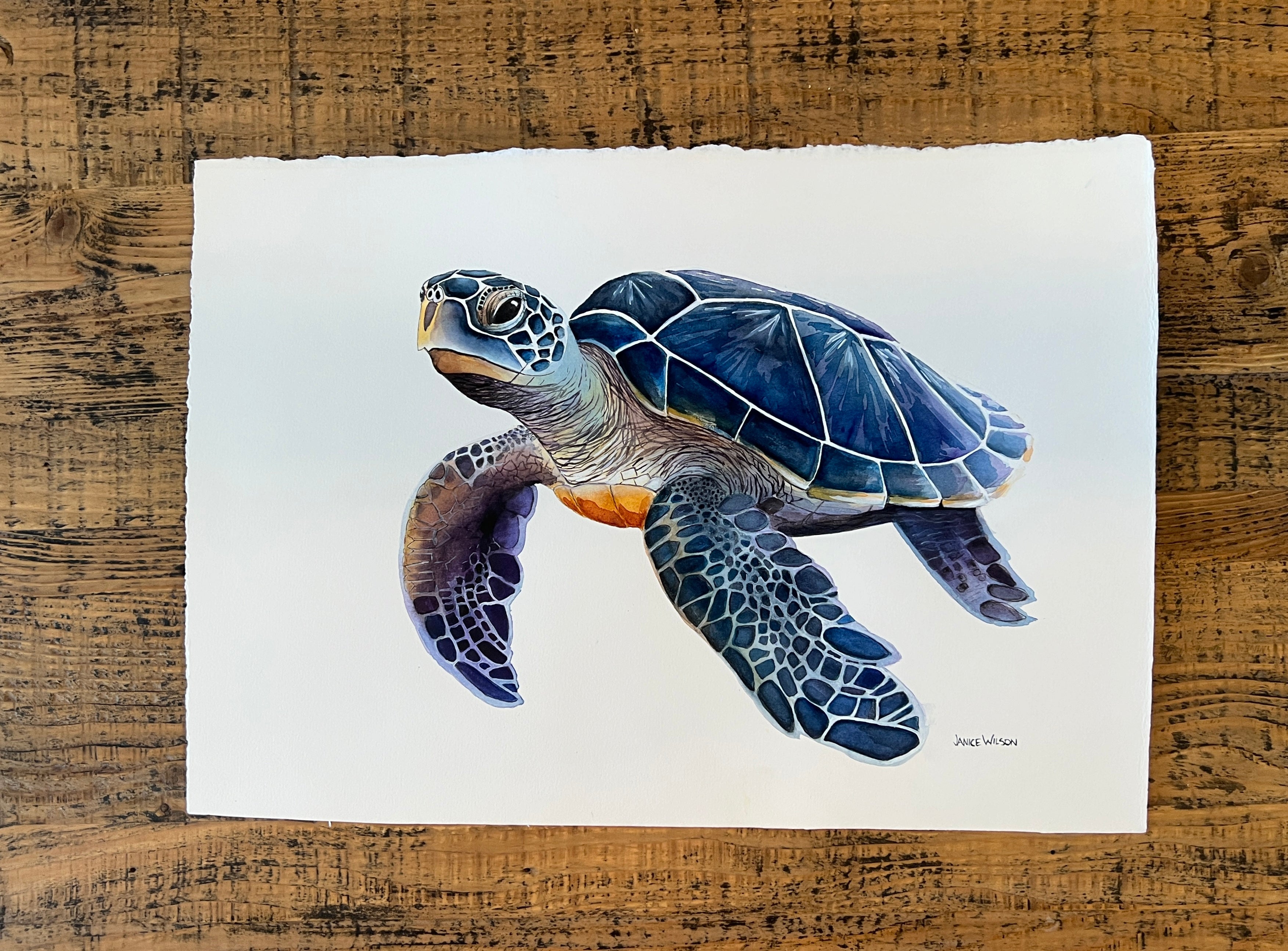 A Very Blue Turtle, Original Fine Art Watercolor Painting, 20 x 26