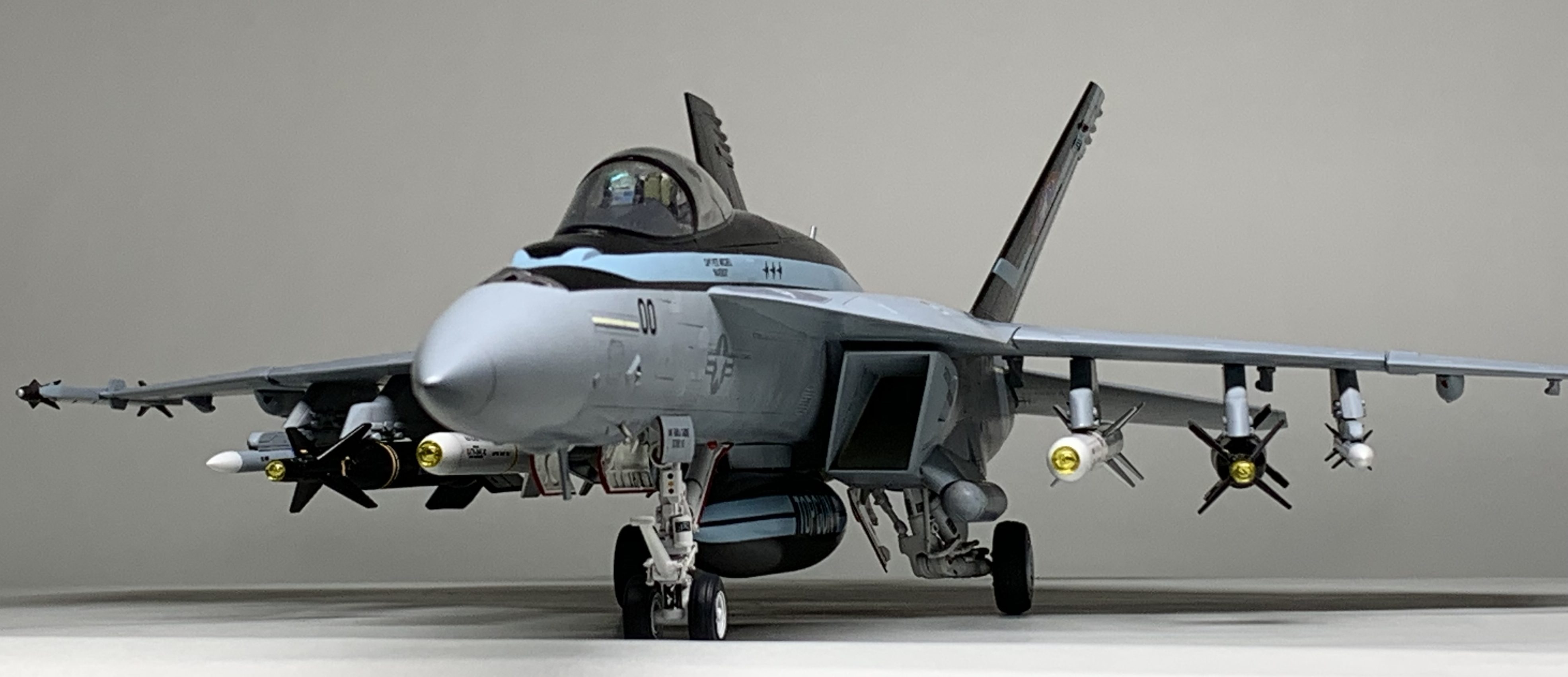 ハセガワ 1/48 F/A-18E トップガン2 | JUNSANのミニチュア航空博物館
