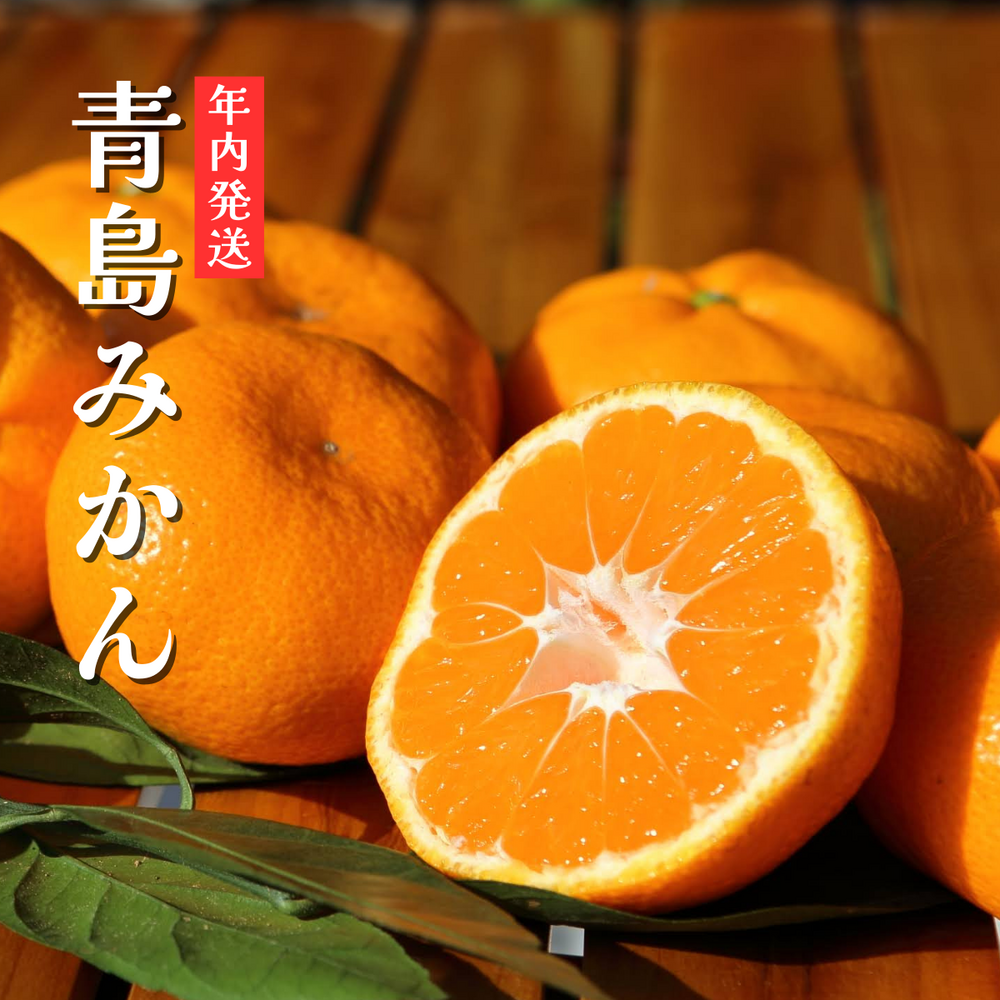 買うほどチャンス！】早生みかんミカくじキャンペーン | みっかび特集