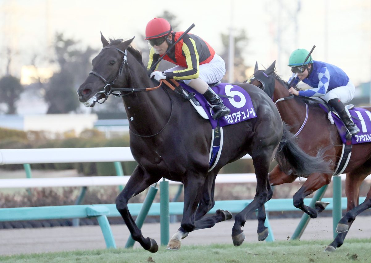 Hopeful Stakes: Croix du Nord Collects 3rd Straight Victory