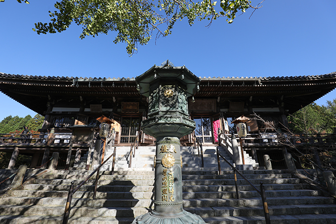 興福寺南円堂 木造不空羂索観世音菩薩 ｜日本遺産ポータルサイト