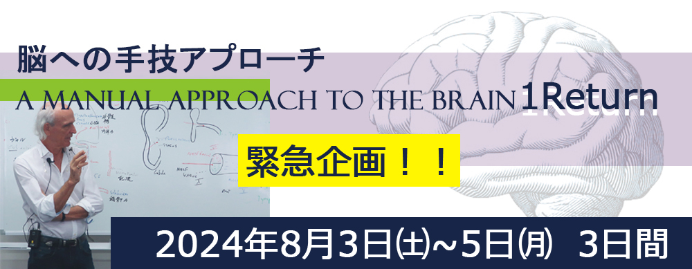 日本橋で手技療法を学ぶなら日本オステオパシーメディスン協会 | 日本