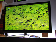 東芝、2番組長時間録画を実現した「レグザ ZP3/Z3」--節電ボタンも装備