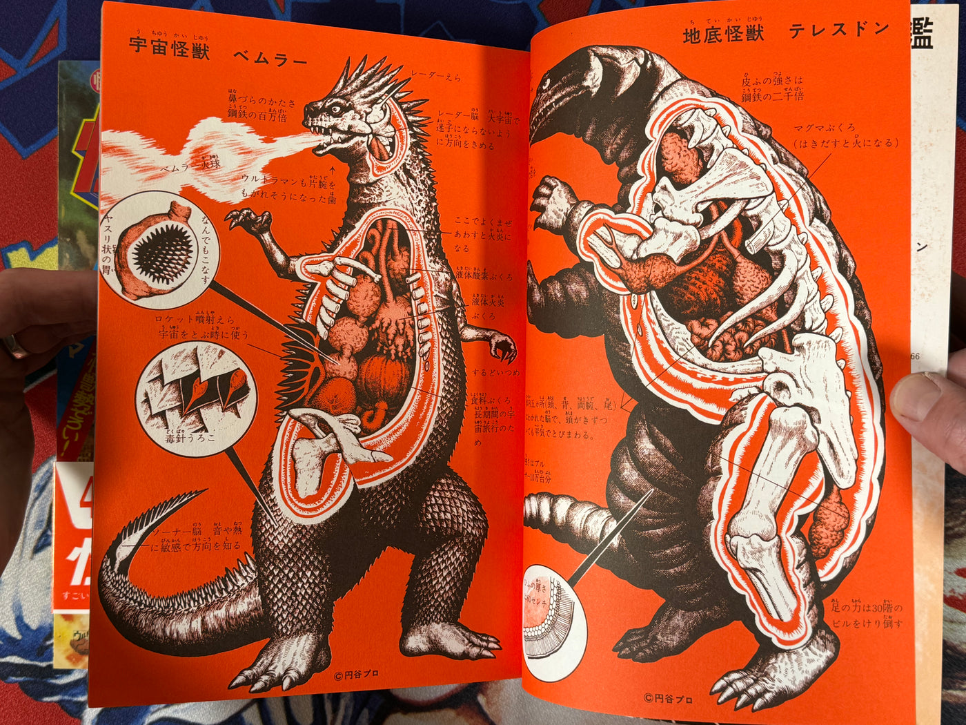Big Encyclopedia of Kaiju Box Set (1997/60s Reprints) · Japan Book