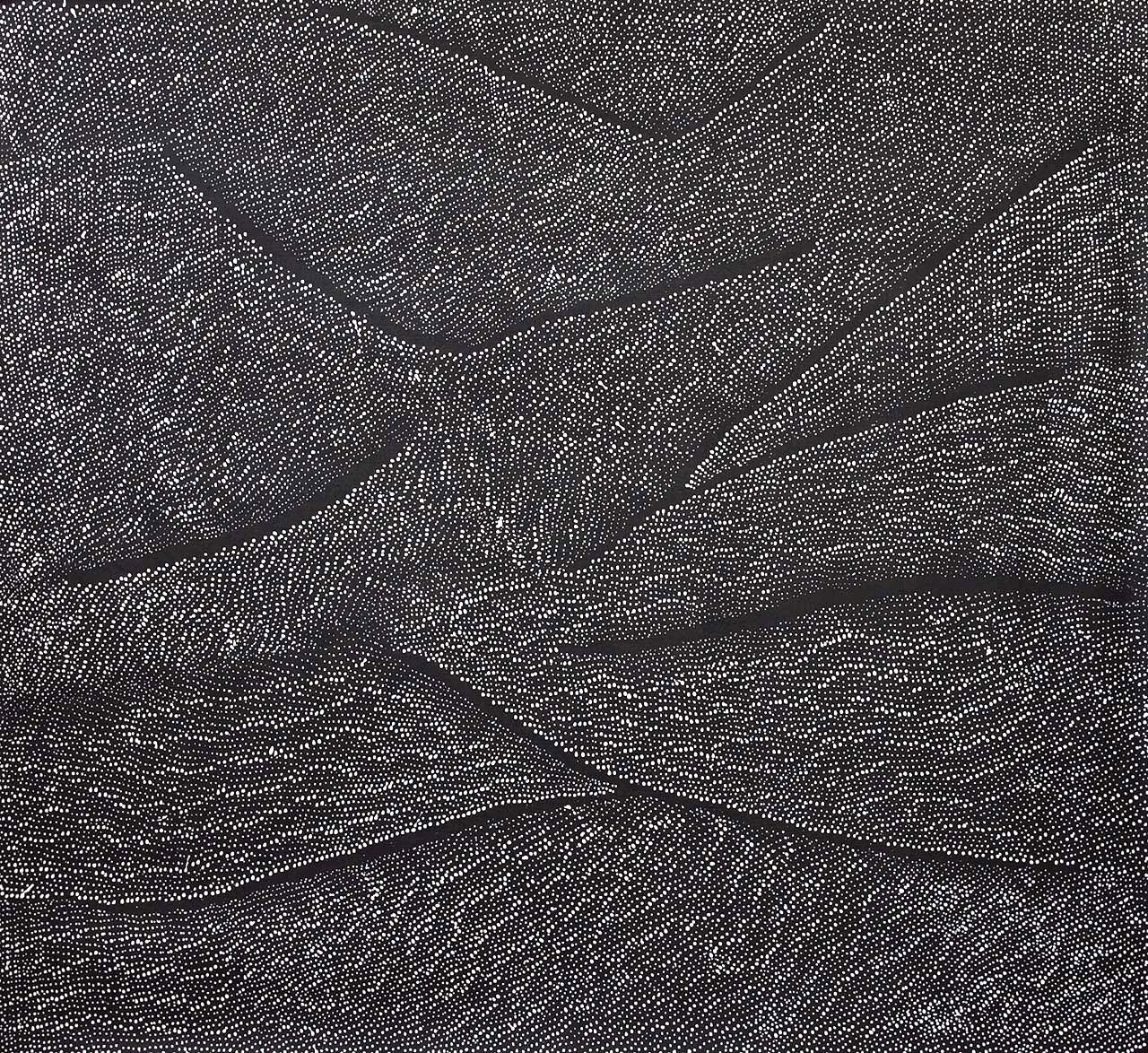 Lily Kelly Napangardi - Artist Bio & Artworks - Japingka Gallery