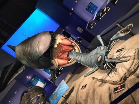 思わず誰かに教えたくなる「化石トリビア」ベスト5 家族や彼女の心を