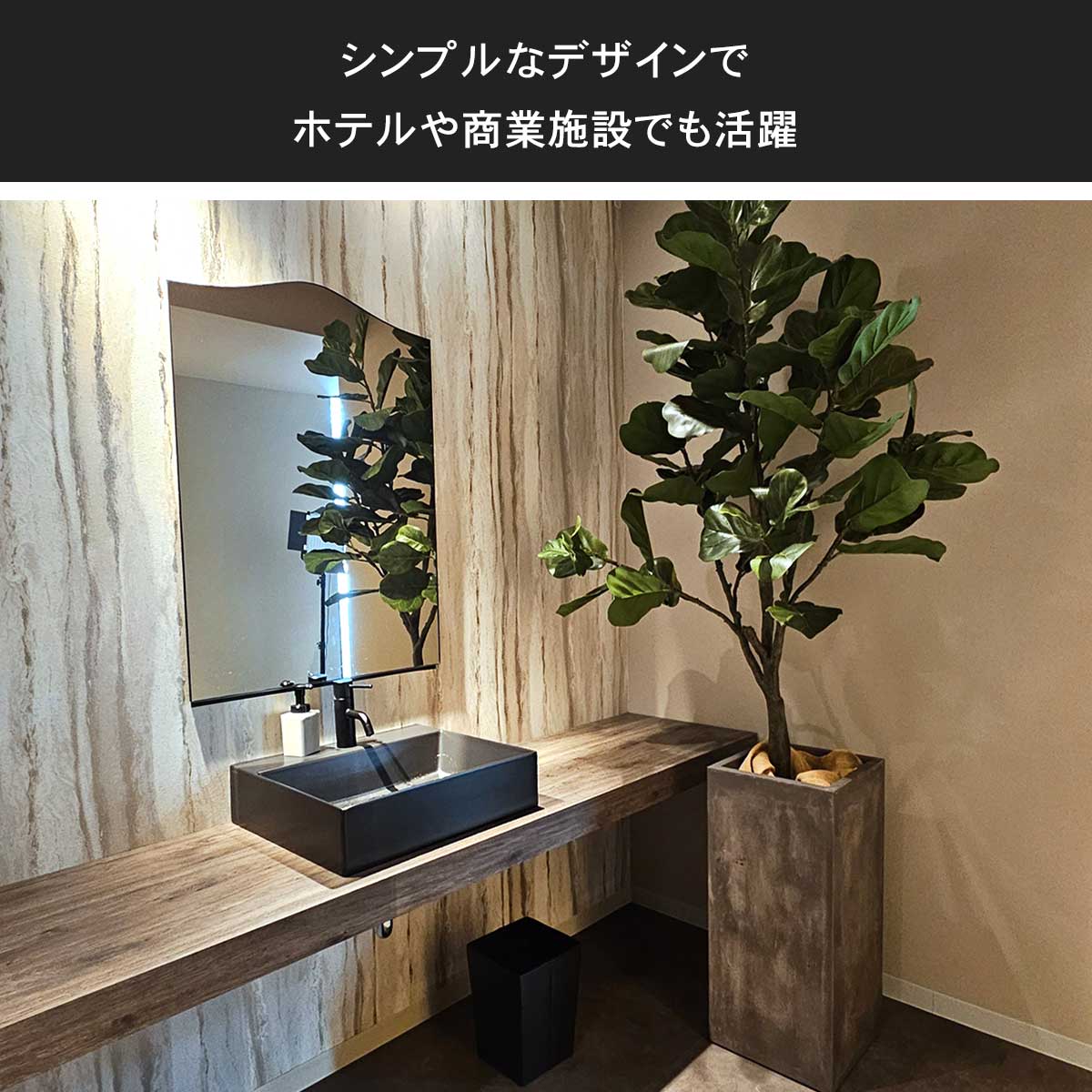 超美形。仕立てフェイジョア1.7M(鉢底から)品番C 1 フェイジョア