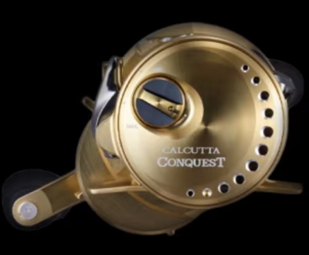 SHIMANO CALCUTTA CONQUEST SHALLOW EDITION 31HG Japan Model