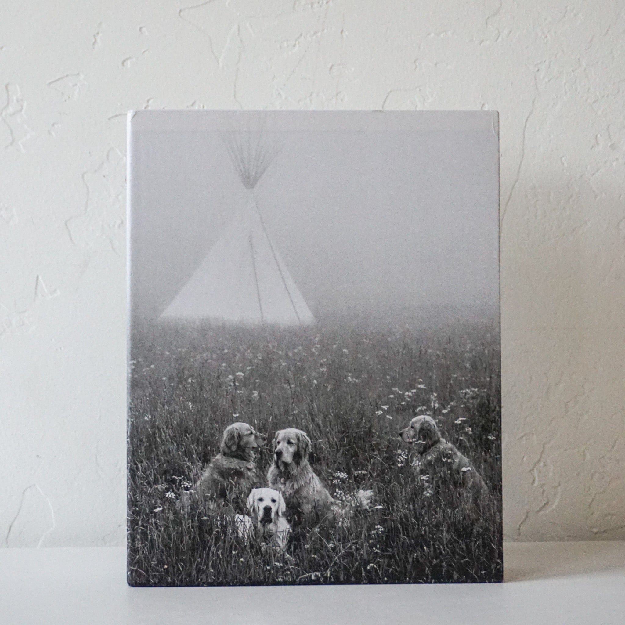 Bruce Weber: The Golden Retriever Photographic Society