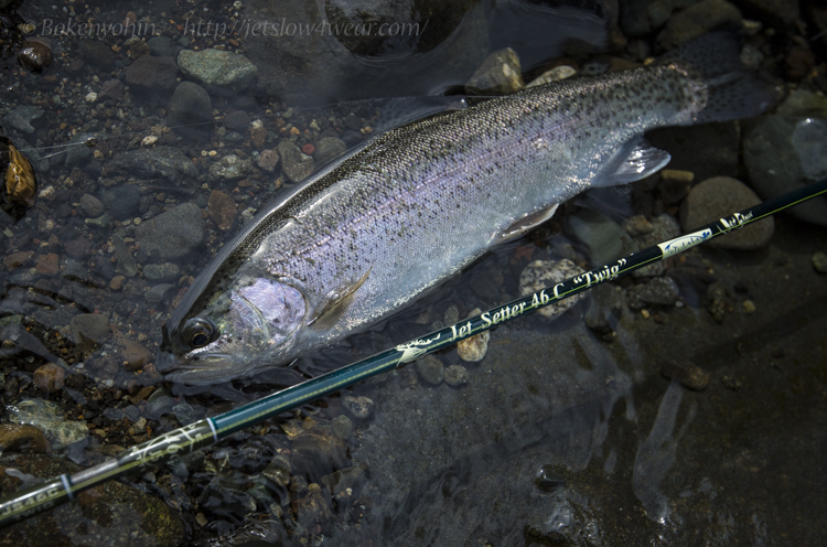 Jet Setter 46C [Twig]「冒険用品」