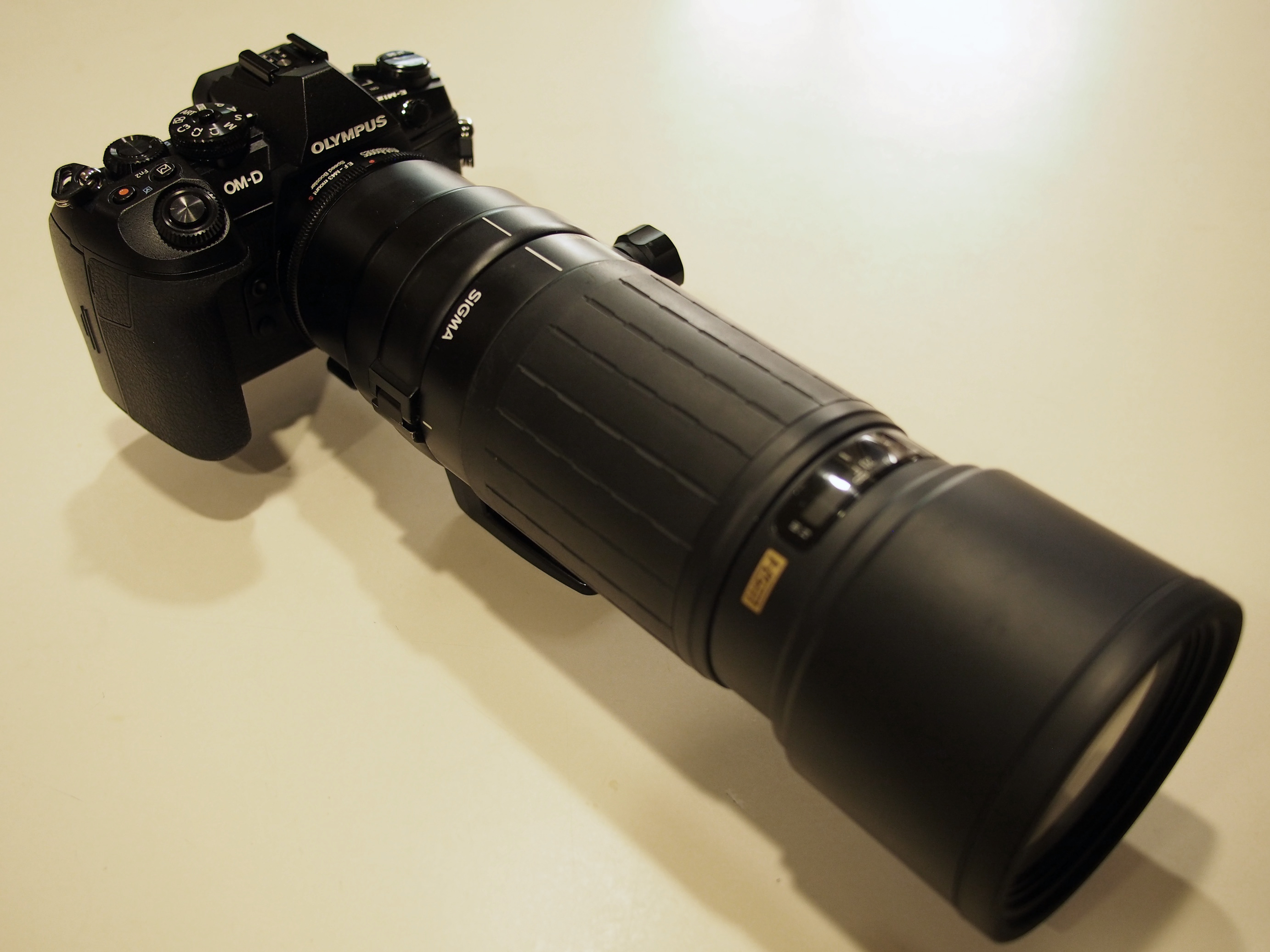Sigma 400mm f/5.6 APO Tele Macro is my new best friend. – Jim