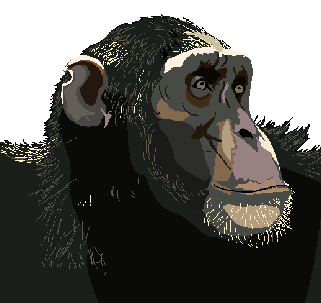 野生チンパンジーの世界