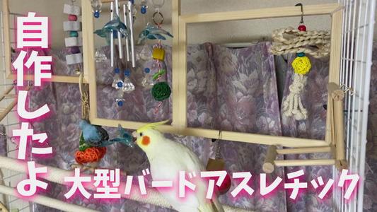 インコの為の大型バードアスレチック（バードジム）を手作り！ラクちん