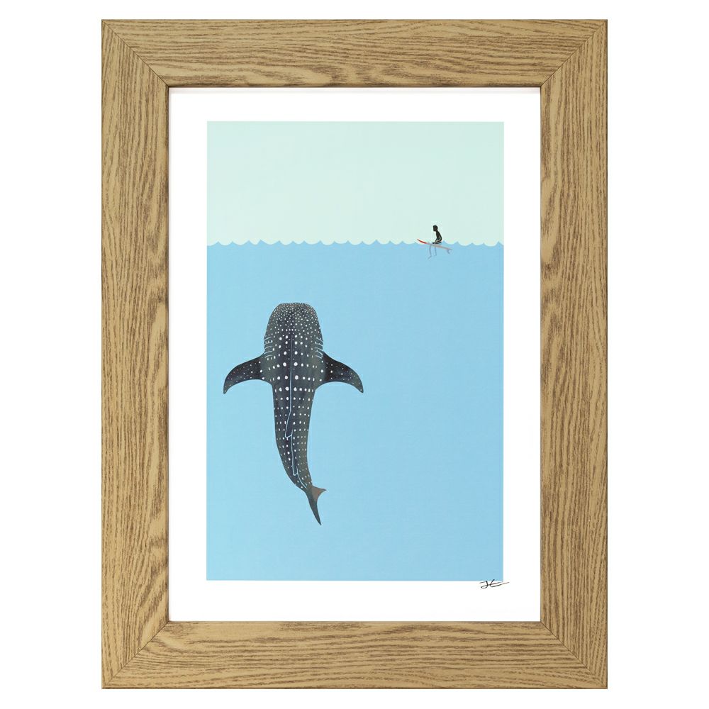 WHILE SHARK ホエールシャーク A4 額セット