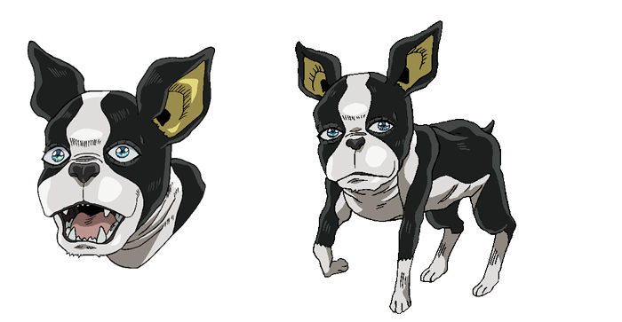 新キャラクター「イギー」設定画公開ィィイ！ -TVアニメ『ジョジョの